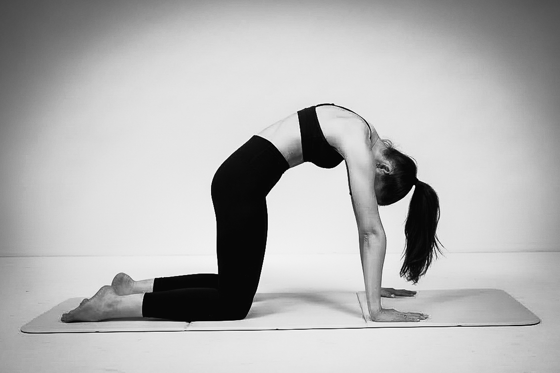 Cat spinal flexion on the mat