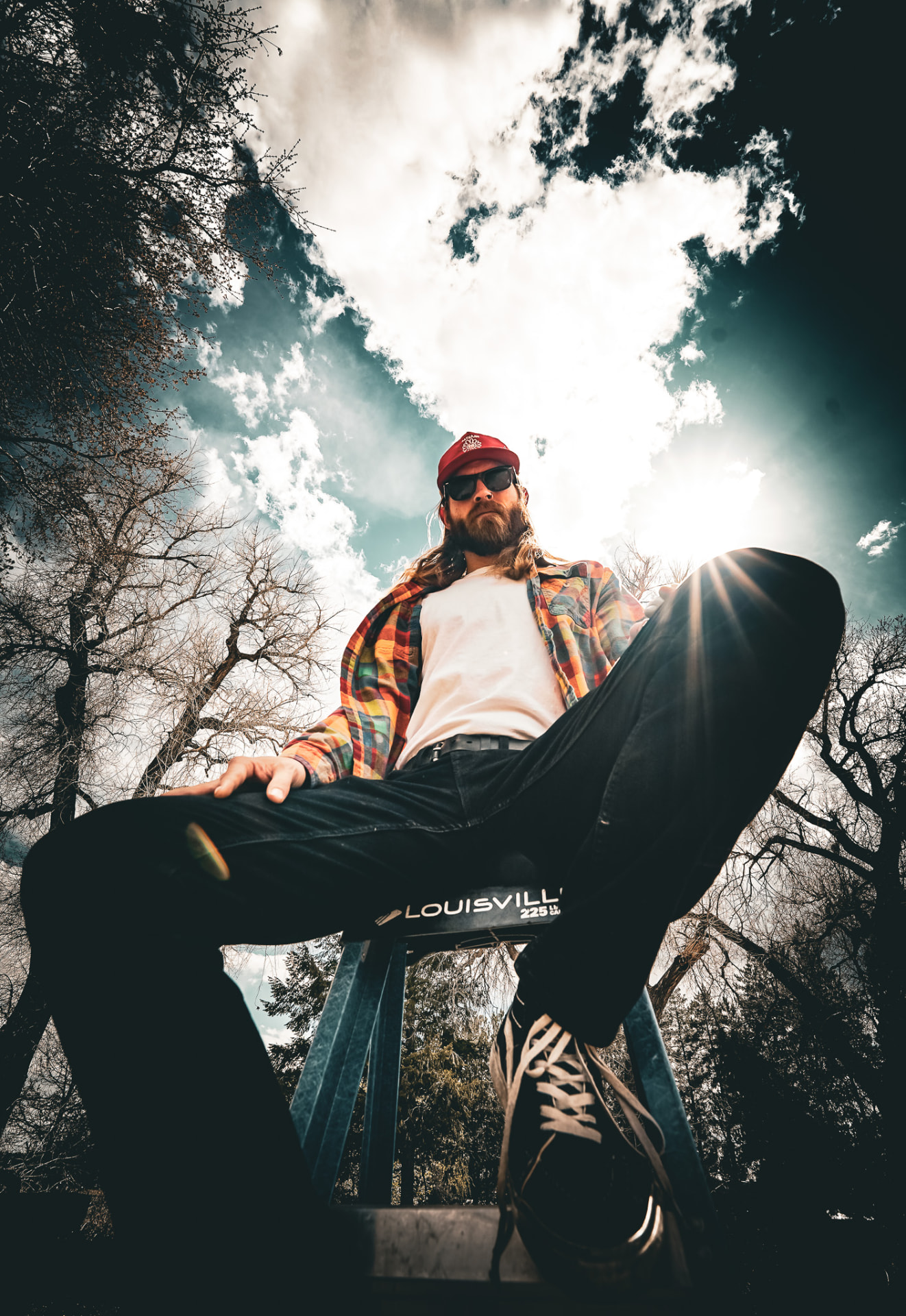 Ladder portrait against sun and bare trees